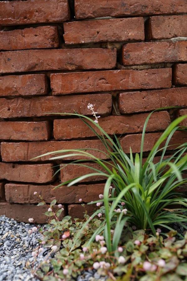 Bloomin' Moon Hostel & Cafe, Chiang Mai Old Town Exterior foto
